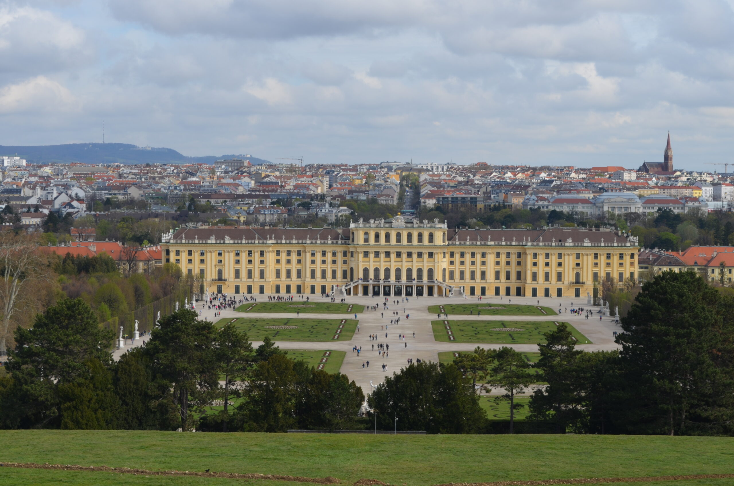 vienna 9