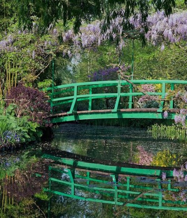 garden garden